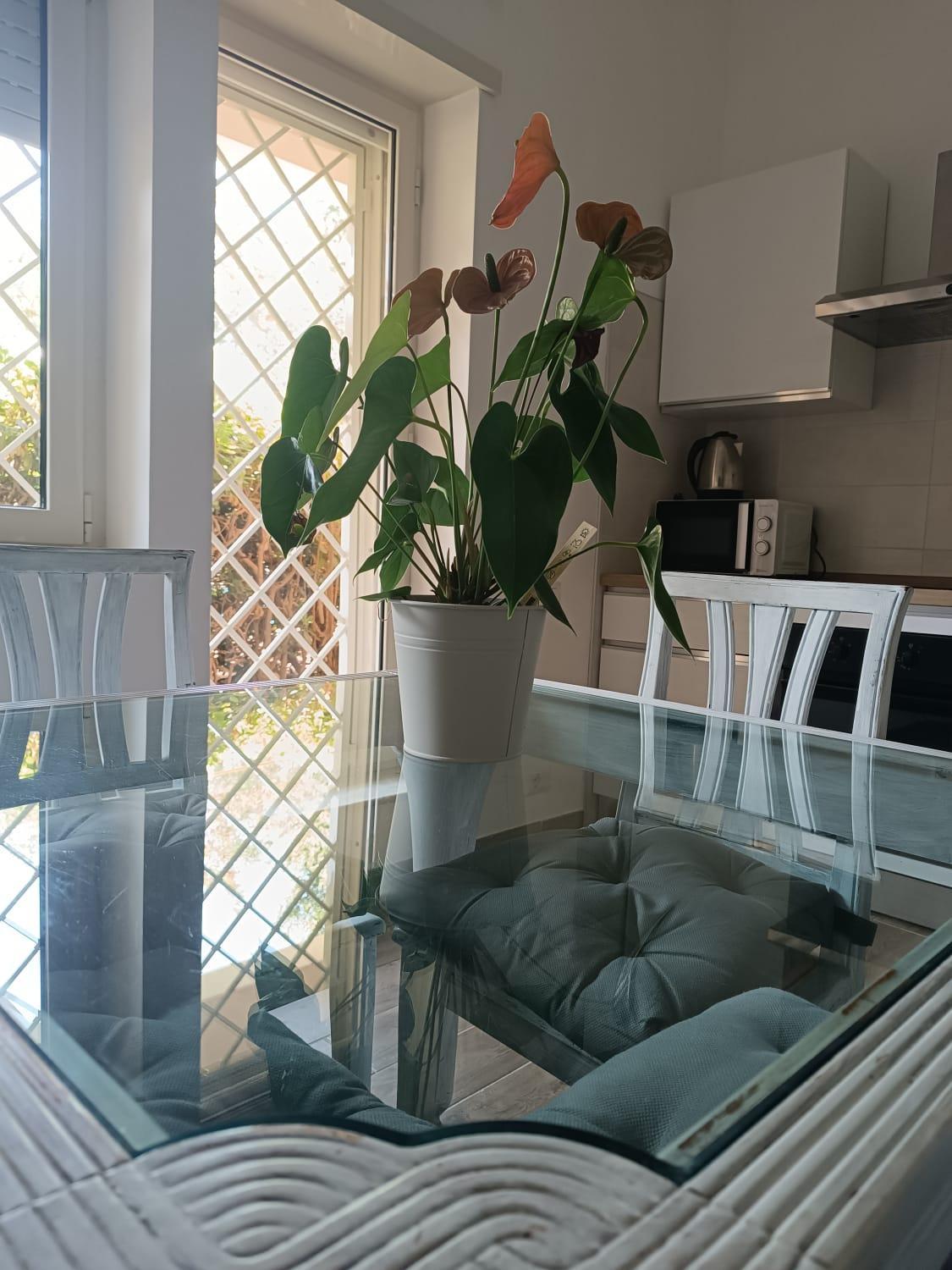 Aurelia Deluxe Ferienhaus